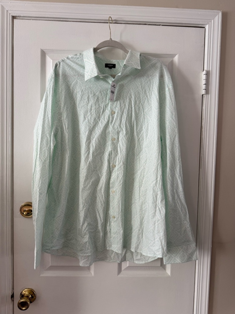 Express Men's Mint Green Patterned Button-Down Shirt